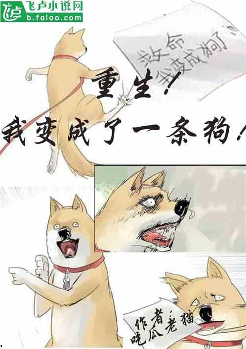 故事小说搞笑吃瓜视频