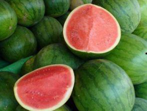 生瓜西瓜可以吃吗视频,能否食用及安全指南