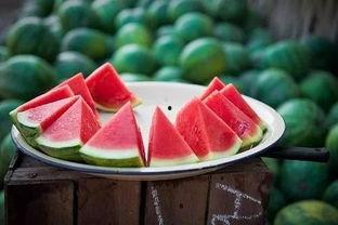 绿地吃瓜最新视频,揭秘最新视频中的精彩瞬间与幕后故事