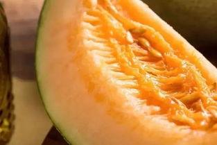 尿毒症吃蜜瓜好不好呀视频