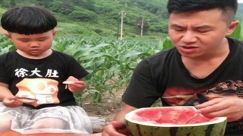 宝贝们比赛吃瓜视频大全,萌娃瓜王争霸记