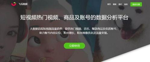 吃瓜实操视频在线观看网站,在线观看，畅享娱乐盛宴