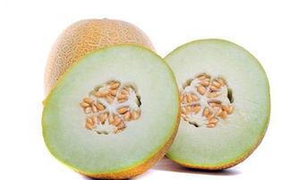 怀孕吃啥蜜瓜比较好呢视频,营养美味两不误