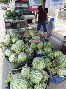 潮州庵埠吃瓜事件视频,一场引发热议的街头冲突瞬间