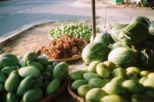 中国吃瓜视频大全集,揭秘网络热点背后的故事与笑料