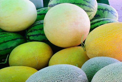 吃瓜视频最新地址,吃瓜视频最新地址大曝光，带你一探究竟！