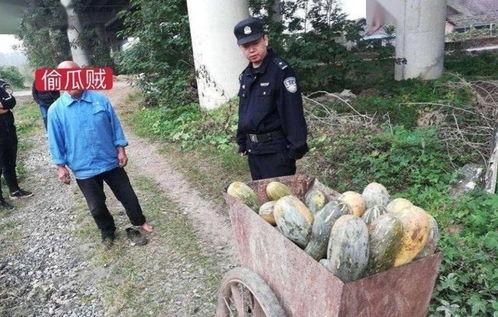桑植县吃瓜事件真相视频,真相视频曝光背后的真相