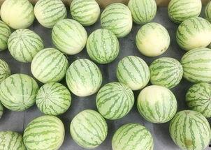 一个吃瓜视频,一场视觉盛宴背后的故事