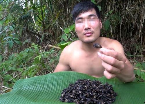 瓜哥表演吃虫子视频在线观看