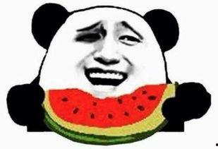 潇洒优雅吃瓜群众视频