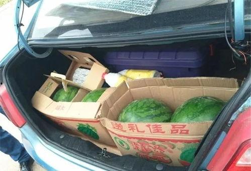 买吃瓜视频怎么处罚,吃瓜视频违规行为处罚指南