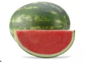 吃瓜吃坏肚子视频大全图片,盘点那些因吃瓜吃坏肚子的搞笑瞬间