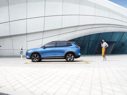 新国贸饭店吃瓜事件视频,一场引发热议的餐饮风波