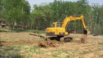 带你吃瓜挖土机视频播放,吃瓜挖土机视频背后的趣味与智慧