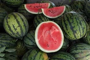 购买吃瓜视频多少钱,价格揭秘