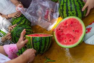 在天津吃瓜视频,一网打尽津门美食风情