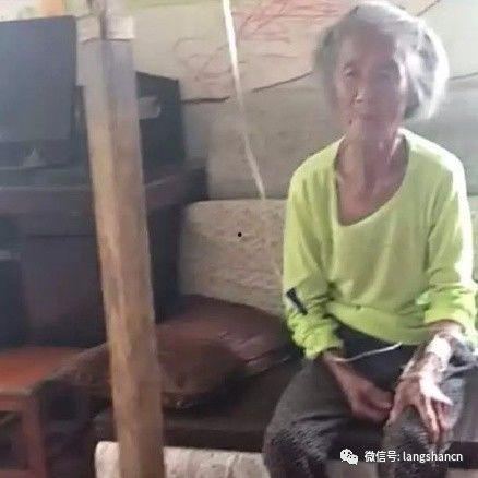 吃毛瓜中毒事件视频,揭秘毛瓜的潜在风险与防范措施